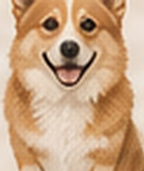 Demo photo of Biscuit, a corgi