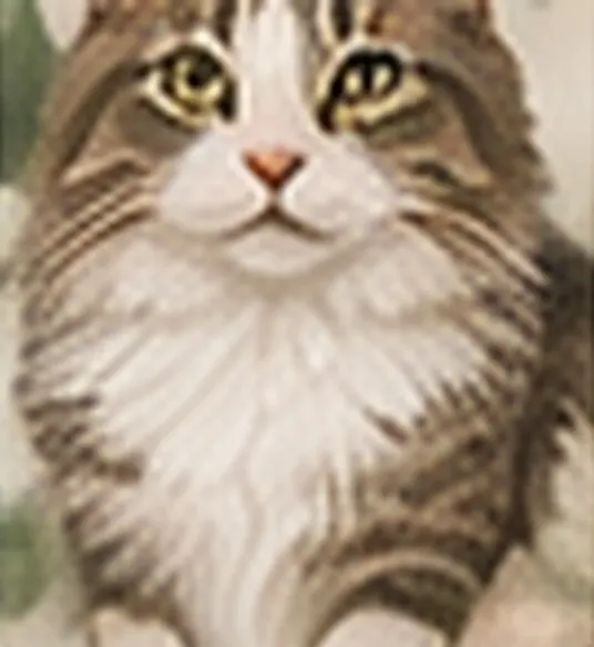 Demo photo of Luna, a long-haired tabby cat